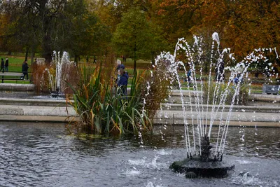 DSC_0569 (Large).JPG